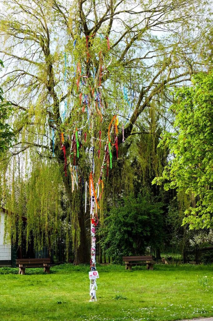 Maibaumaustellen am 28.04.2023 13:30 Uhr am alten Teich - nahe der Amtsscheune